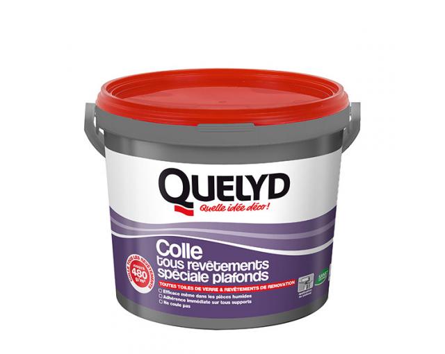 Coller de la toile de verre et du revêtement lisse de rénovation 